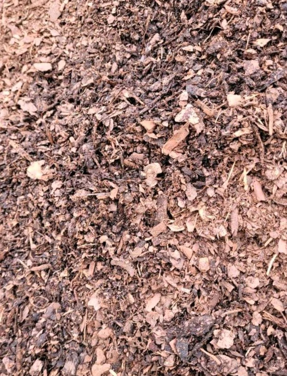 Gehexelte Rindenstückchen von Nahem betrachtet.