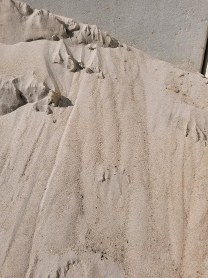 Gehäufter Feinsand.