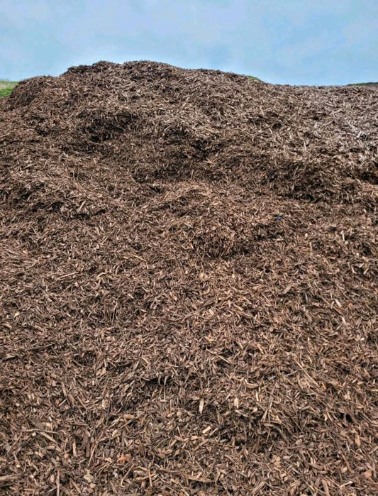 Ein großer Haufen von groben Mucksel, der aus grob gehexelten Holzstückchen besteht.