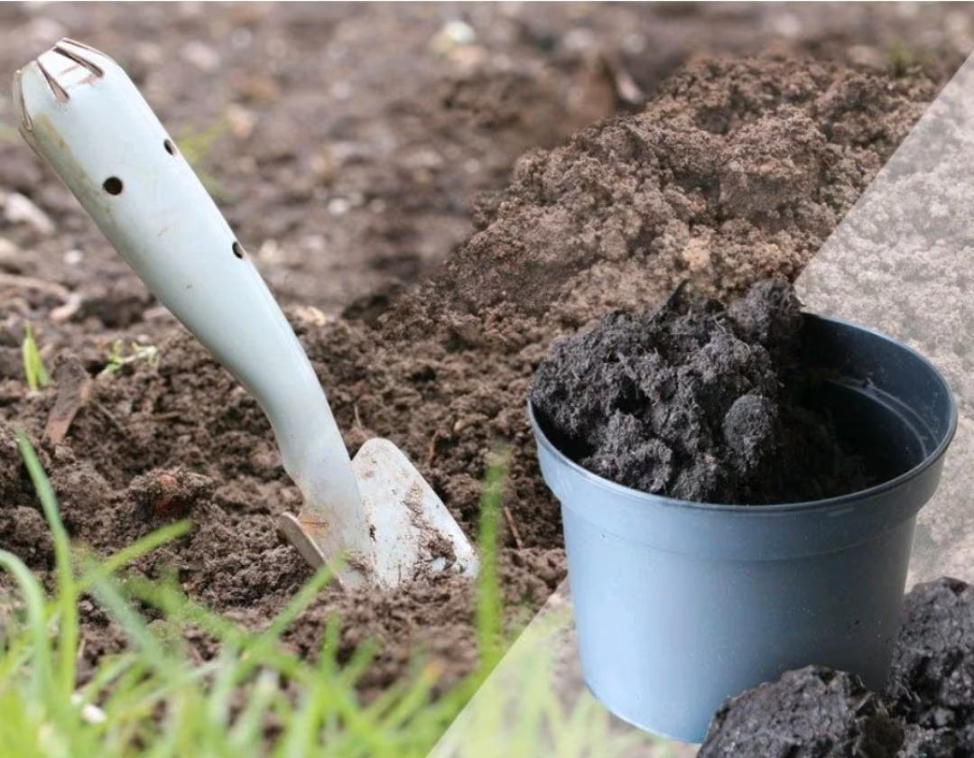 Eine Schaufel und ein Eimer, die gerade Gartenboden in den Eimer schaufeln.