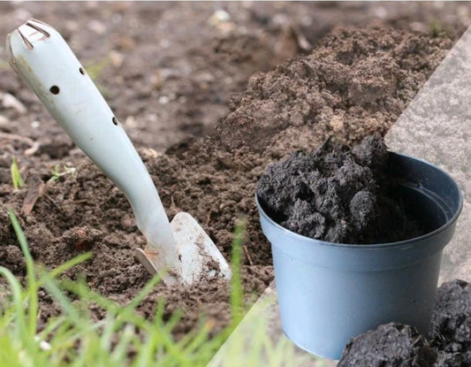 Eine Schaufel und ein Eimer, die gerade Gartenboden in den Eimer schaufeln.