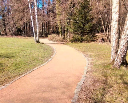 Ein Weg im Park führt an Bäumen vorbei