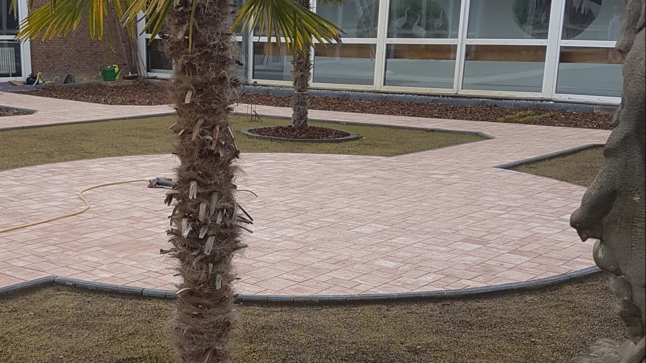 Palmen und Pflasterweg